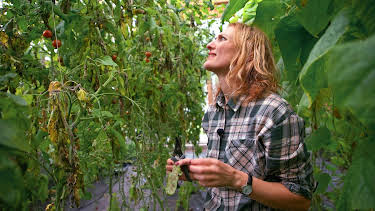 02:10: Draumen om eit småbruk: Sjukdom i drivhuset | NRK 1 | 4/13 2026