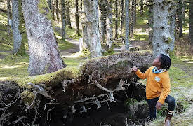 Awesome Alaskan Kids, Season 1: Tour of Kodiak