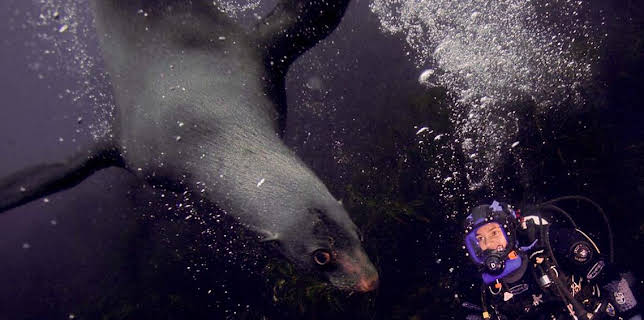 4:15 PM: Oceans | BBC Two | 2/24 2026