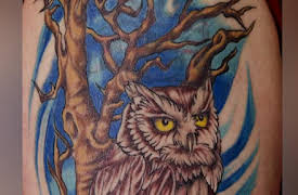 Tattoo Nightmares Season 1: Burn Baby Burn