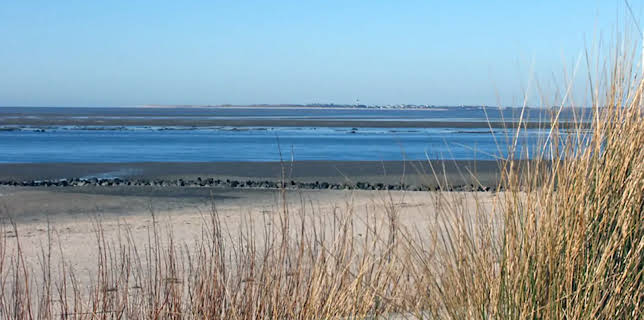 02:30: Mein Norden | NDR Fernsehen | 11/21 2025