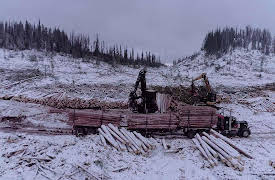 Mud Mountain Haulers: Episode 2