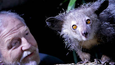 3:30 PM: Monkey Planet | BBC Two | 3/31 2026