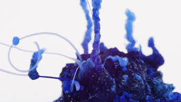 17:05: Wunderwelt Chemie | ZDFneo | 5/2 2026