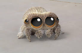 Lucas the Spider, Season 1: I'll Do It in a Minute/Cloud Gazing/Don't Do That Arlo