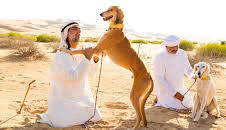 Dogs: The Untold Story (S1 E3)