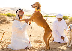 Dogs: The Untold Story