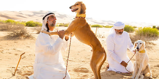 07:40: Dogs: The Untold Story (S1 E3) (S1) | Animal Planet | 12/15 2025