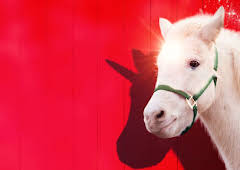 A Unicorn For Christmas