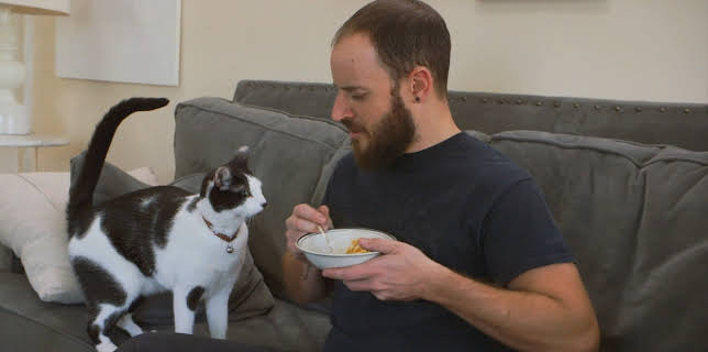 05:15: My Cat From Hell (S9 E4) (S9) | Animal Planet | 12/10 2025