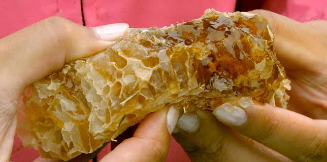 16:00: Die Bienenflüsterer | Arte | 11/21 2025