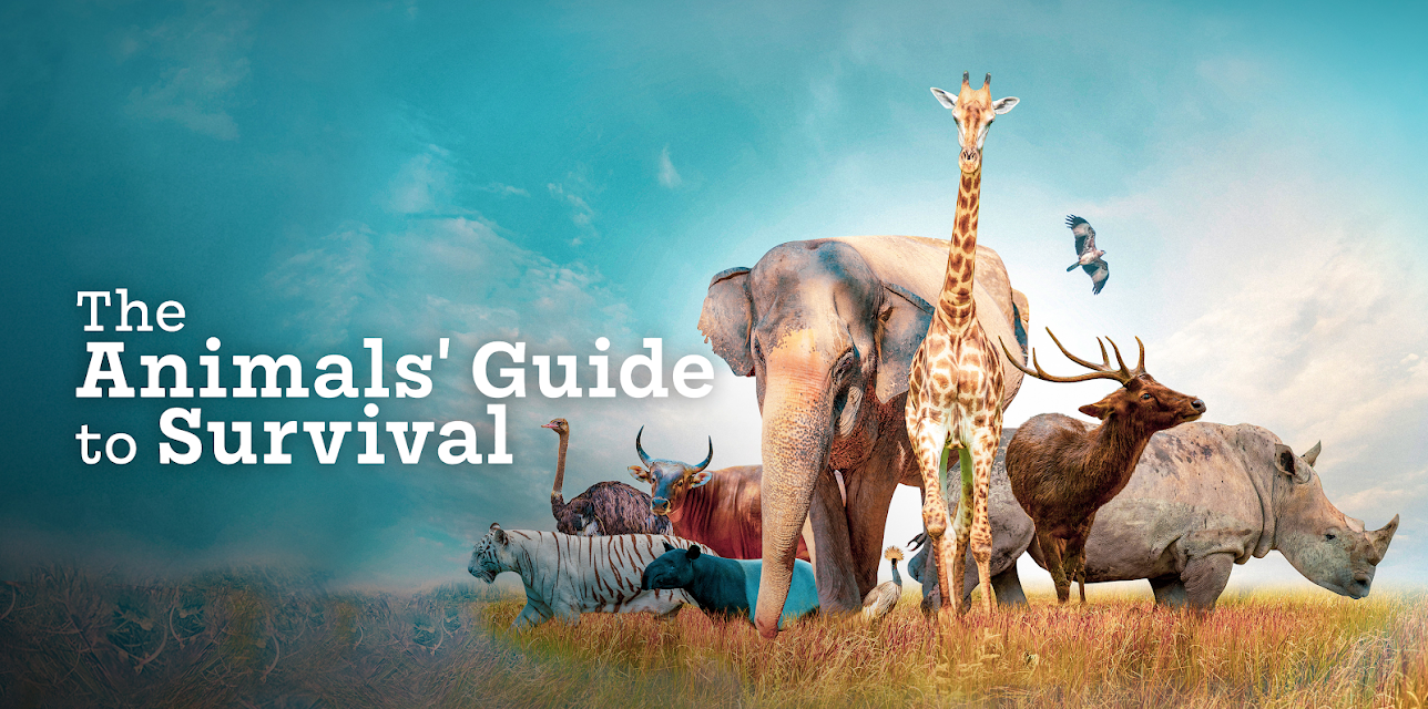 The Animals' Guide to Survival