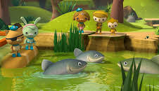 Octonauts: Above & Beyond