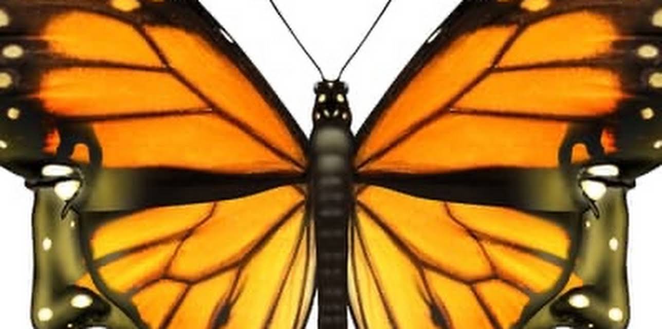 Life With Multiple Sclerosis (2006)