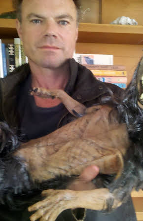 Louis Morneau as Director