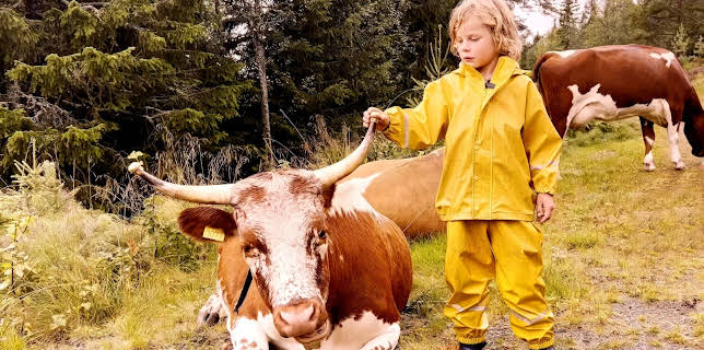 15:30: Nysgjerrige Noah: Ku og melketann | NRK Super | 1/27 2026