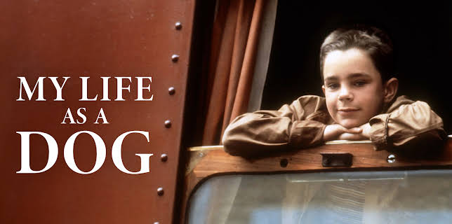 My Life as a Dog (1987)