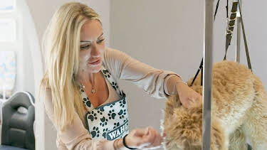 10:00 AM: Bargain-Loving Brits in the Sun (S8 E4) (S8) | 5 Star | 2/17 2026