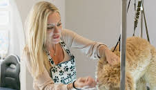 Bargain-Loving Brits in the Sun (S8 E4)