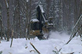 American Loggers Season 1: Big Freeze Big Trouble