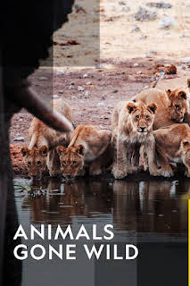 10:00 AM: Animals Gone Wild | Nat Geo Wild | 11/11 2025