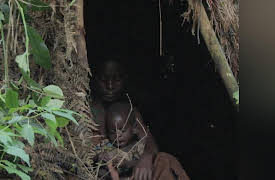 Born to Explore: Uganda: Mountain Gorillas