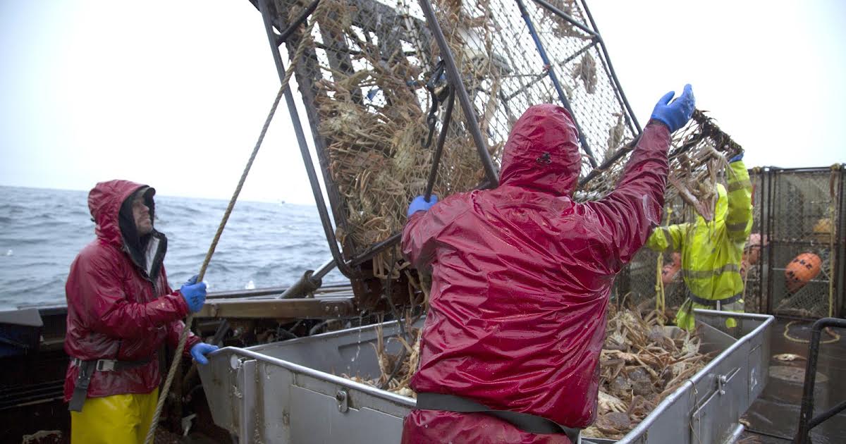 18/7 - 07:35 | Deadliest Catch på 6'eren