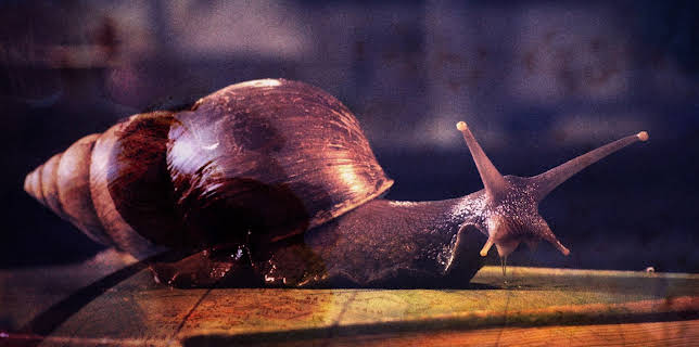 02:00: Wunder der Wissenschaft | ZDFinfo | 12/4 2025