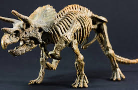 A New History of Life: Paleontologists as Detectives