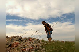 Medicine Line: A Rolling Stone