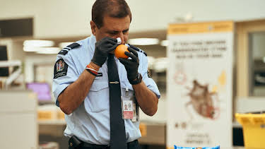 23:25: Border Patrol New Zealand | ProSieben Maxx | 4/26 2026