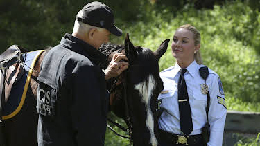 17:35: Navy CIS | Kabel Eins | 4/11 2026