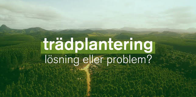 22:00: Dokument utifrån: Trädplantering - lösning eller problem? | Kunskapskanalen | 11/19 2025