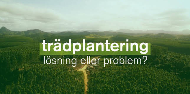 Dokument utifrån: Trädplantering - lösning eller problem?