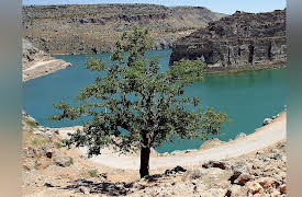 Great Mythologies of the World: The Babylonian Creation Story