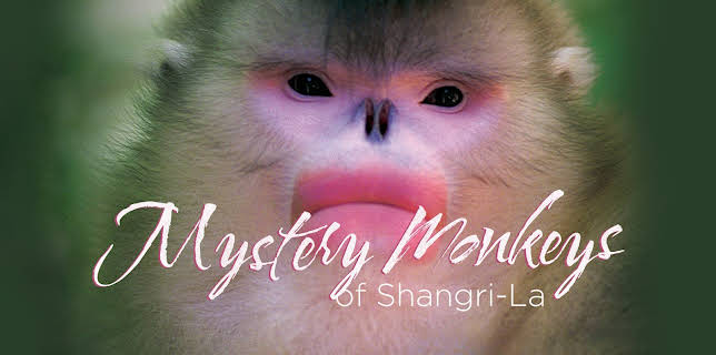 Mystery Monkeys of Shangri-La (1982)