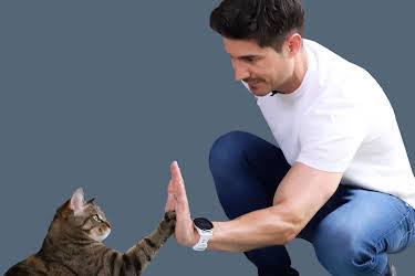 22:55: Hund und Katze – Haustiere Himmel oder Hölle? | 3SAT | 10/29 2026