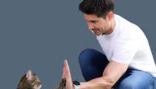 Hund und Katze – Haustiere Himmel oder Hölle?