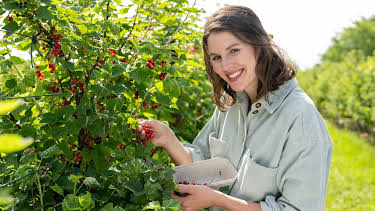 17:00: Land & lecker | WDR Fernsehen | 5/30 2026