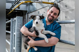 Animal Emergency: Episode 4