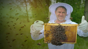 8:00 PM: The Secret Life of Bees (S1 E1) (S1) | Channel 5 | 9/17 2026
