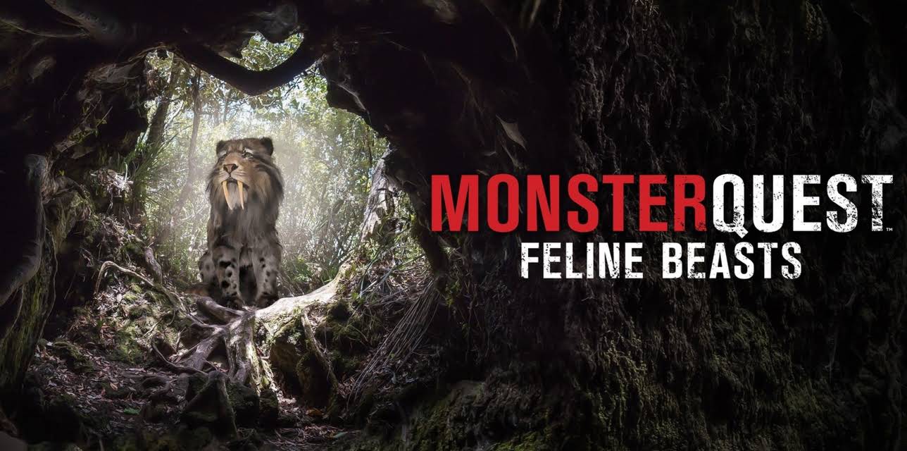 MonsterQuest: Feline Beasts