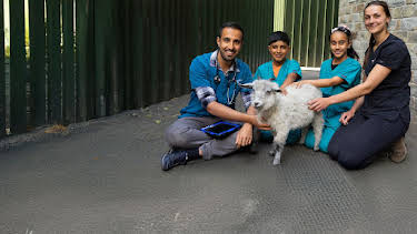 9:20 AM: Animal Care Club | Channel 5 | 4/5 2026