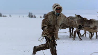 6:00 PM: Frozen Planet (S1 E6) (S1) | Yesterday | 1/1 2026