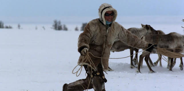2:00 AM: Frozen Planet (S1 E6) (S1) | Yesterday | 1/2 2026