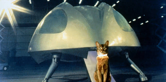 The Cat from Outer Space (1978)