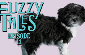 Fuzzy Tales: Pupocchio