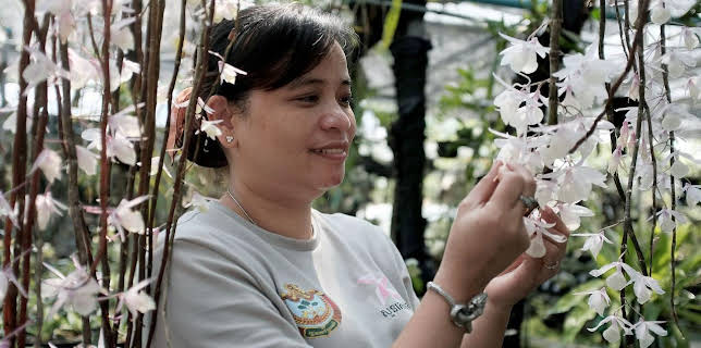 18:35: Kambodschas größter Regenwald | Arte | 1/26 2026