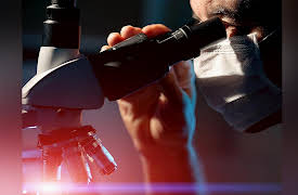 The Aging Brain: The Science of Immortality