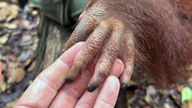 08:05: 360° Reportage | Arte | 4/18 2026